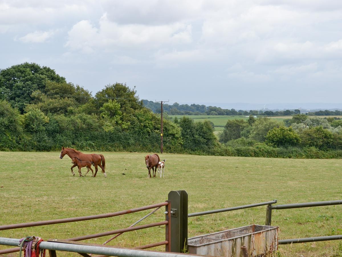 The Stables Villa Woolaston Luaran gambar